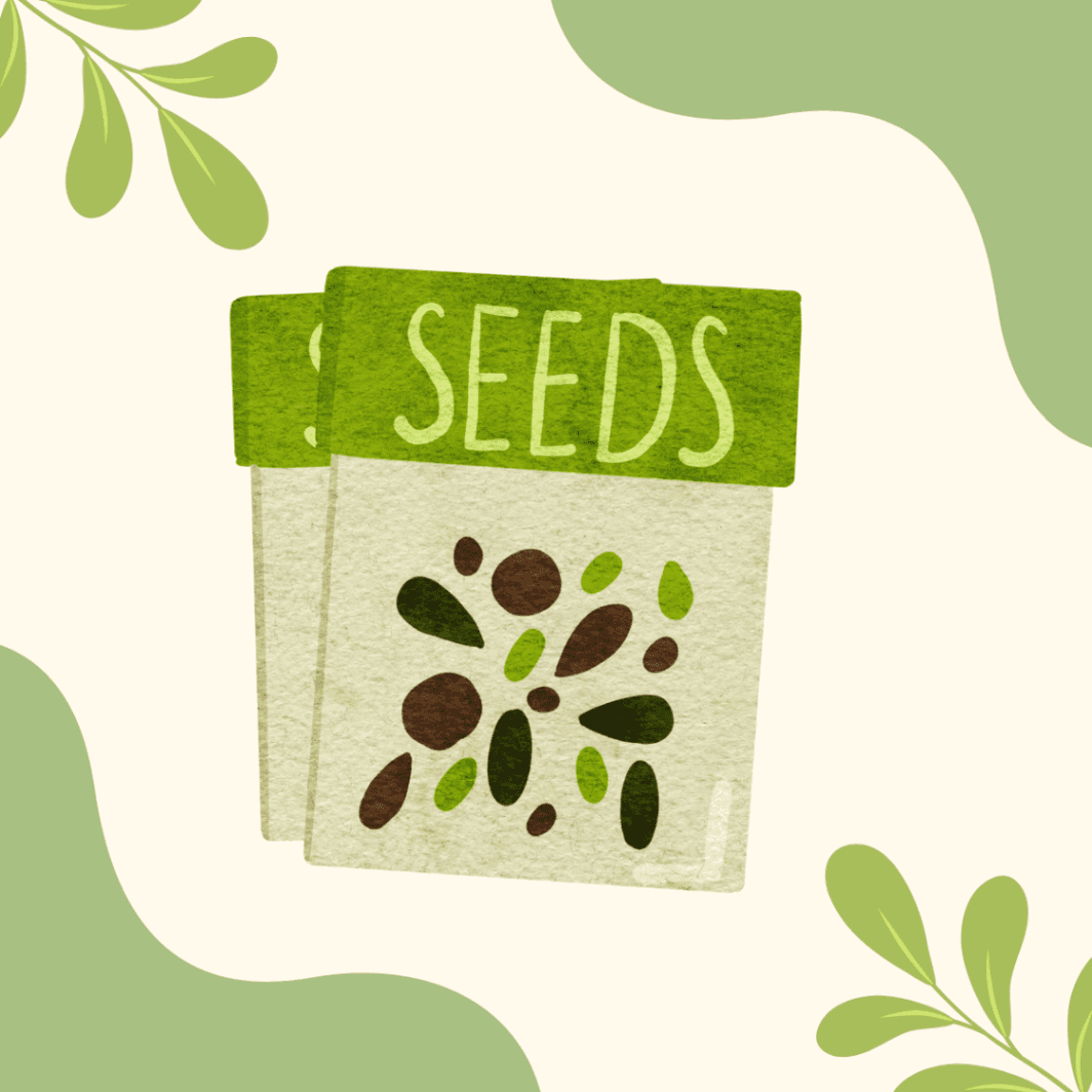 Seed Paper Products